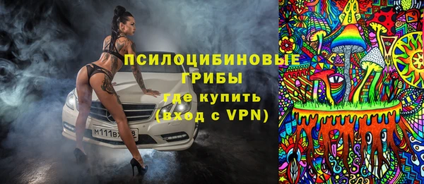 спиды Богданович