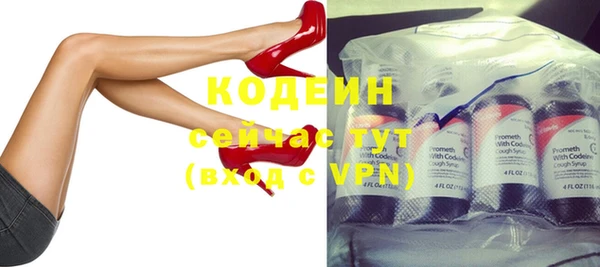 спиды Богданович