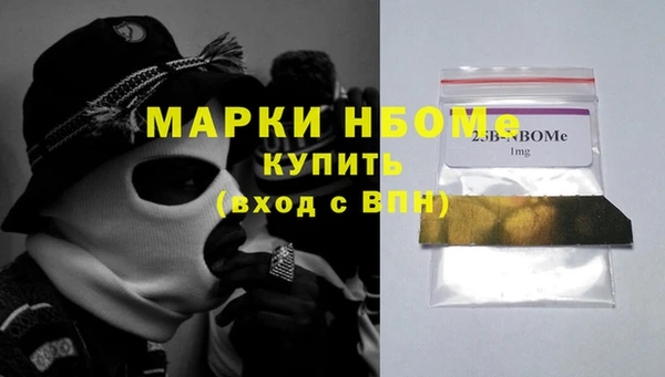 молекула духа Богородицк