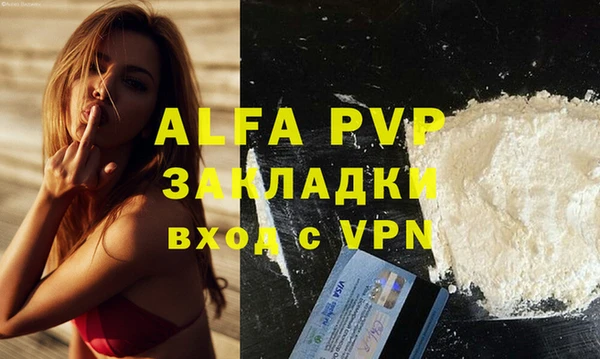 молекула духа Богородицк