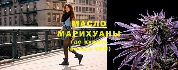 молекула духа Богородицк
