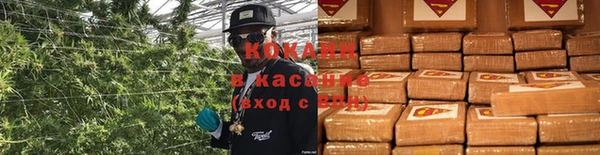 молекула духа Богородицк