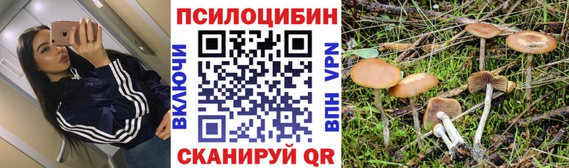 продажа наркотиков  Бирюч  Галлюциногенные грибы MAGIC MUSHROOMS 